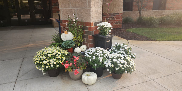 Potted flowers at business entrance